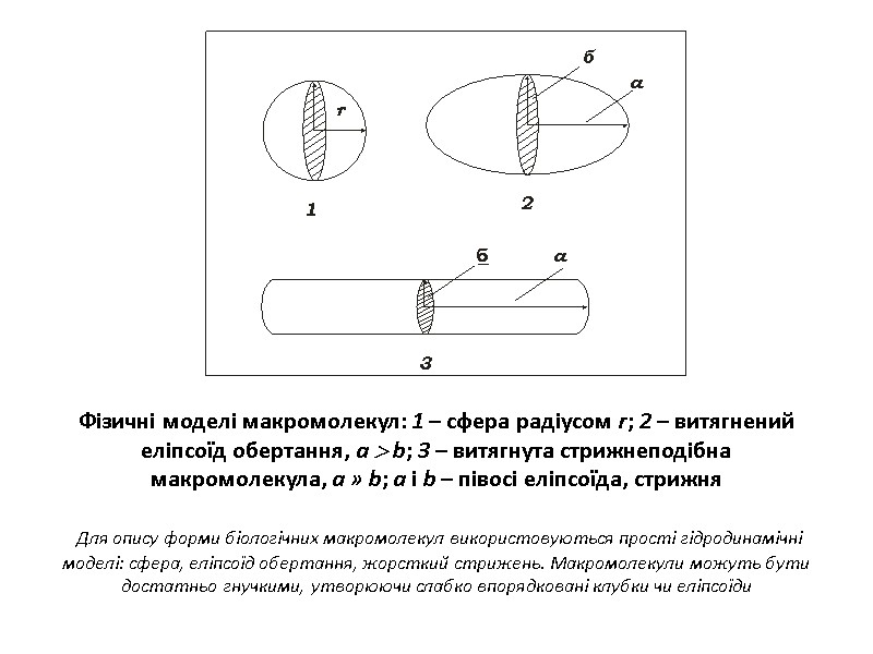 Фізичні моделі макромолекул: 1 – сфера радіусом r; 2 – витягнений еліпсоїд обертання, а